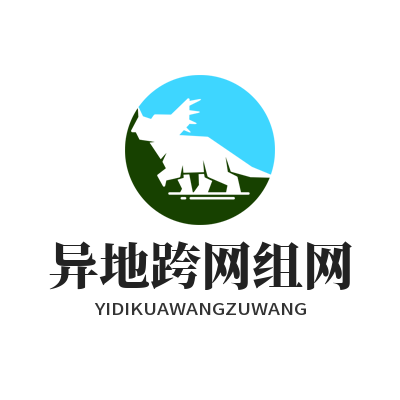 Safew 企业跨网通讯设置 异地办公安全组网教程图